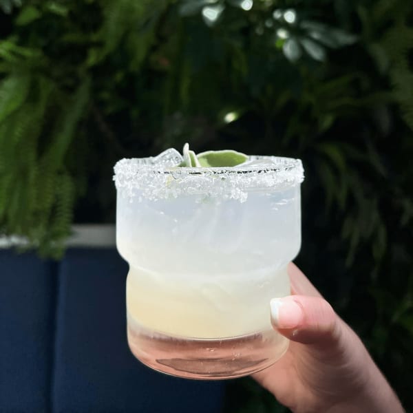 Hand holding a salt-rimmed margarita with ice and a lime garnish against a leafy green background.